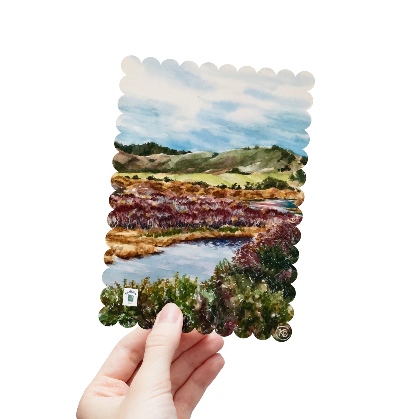 "Colorful Reflections" Postcards